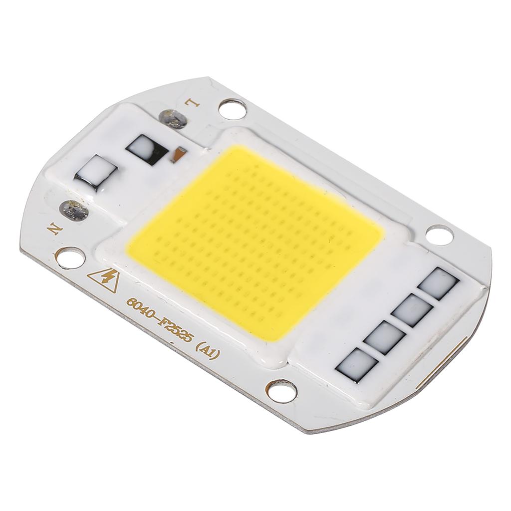 1Pc 220V 20W White High Power Integrated LED Floodlight COB Chip Lamp (20W White)