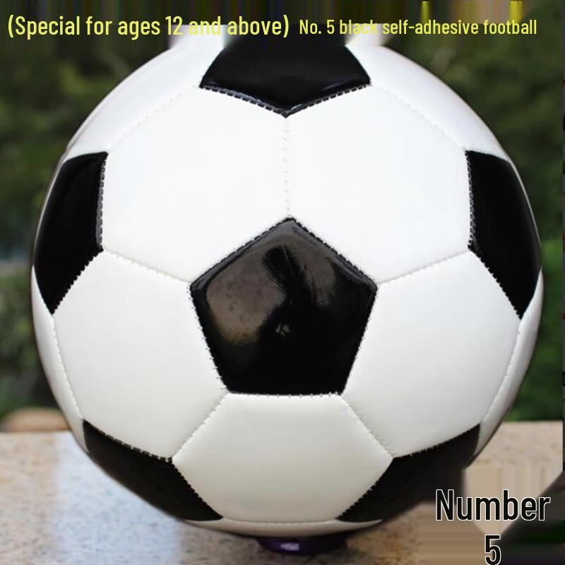 Sining No. 2 Children s Football