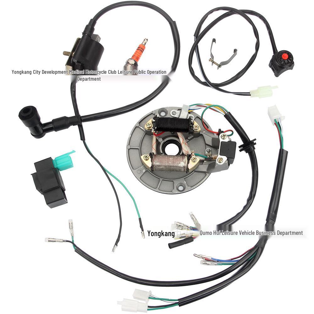 

ATV Beach Car 50-110cc Wiring Harness with CDI Ignition System & JH70 Coil Beach Car