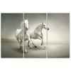 Three Piece Picture Canvas Print White Horses Galloping