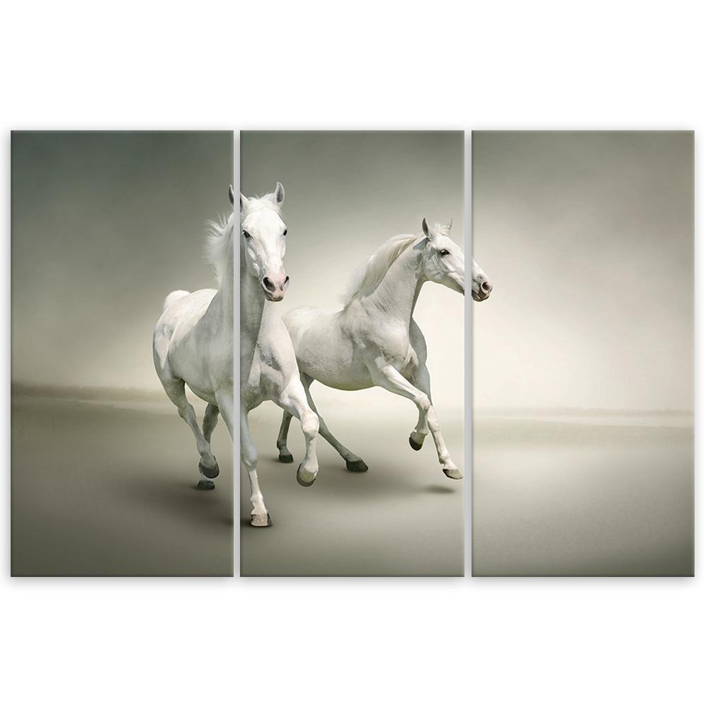 Three Piece Picture Canvas Print White Horses Galloping