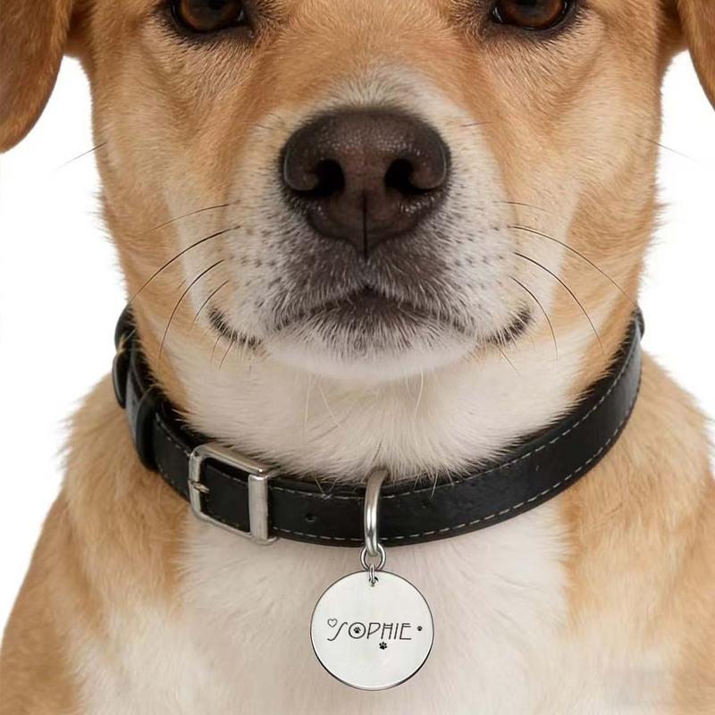 Engravable Stainless Steel Pet ID Tag - Shiny, Anti Loss, Lightweight, Cat Collar, Hanging Tag, Durable, Engraved Pet Nameplate,