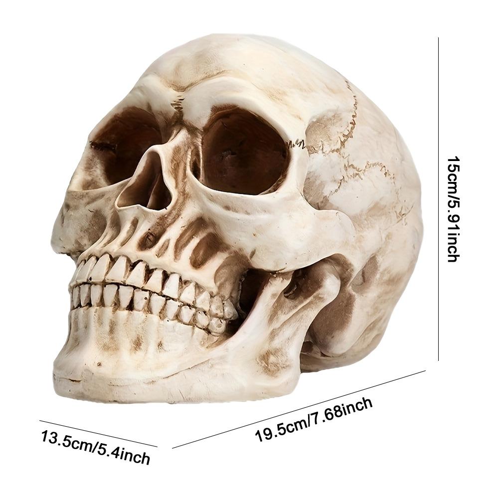 Halloween Skull Shaped Figurine Resin Horror Skull Statue Handicrafts Personalized Sculptures Ornaments for Holiday Party Decor