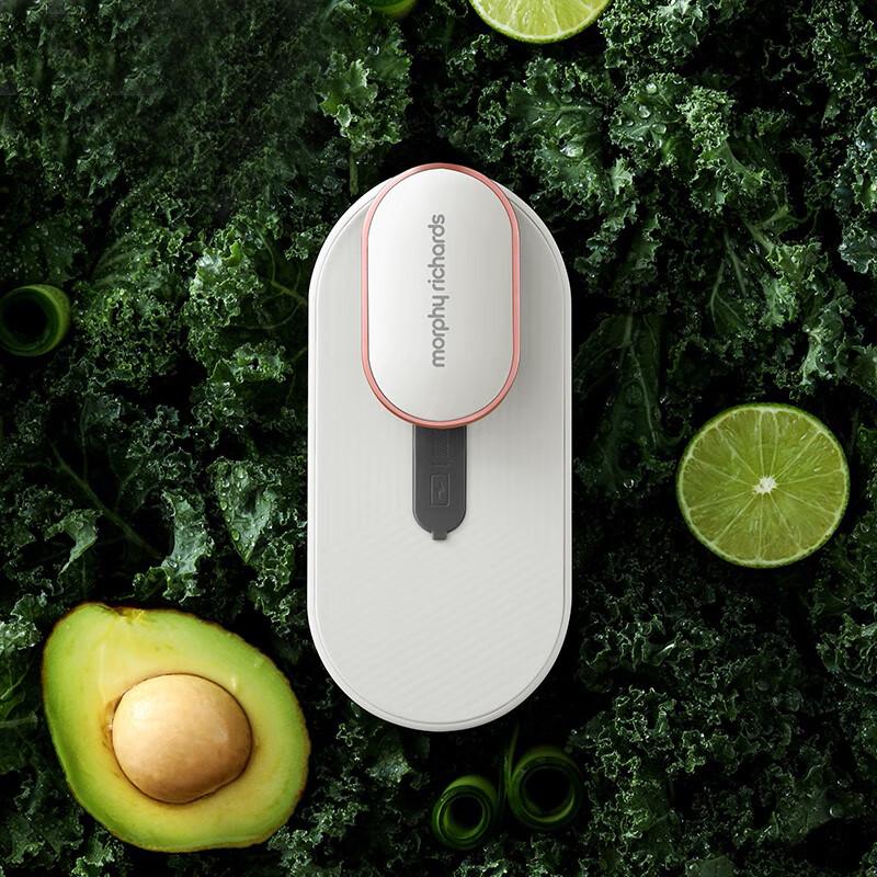 Morphyrichards Refrigerator Deodorizer and Air Purifier CN plug (adapter included)