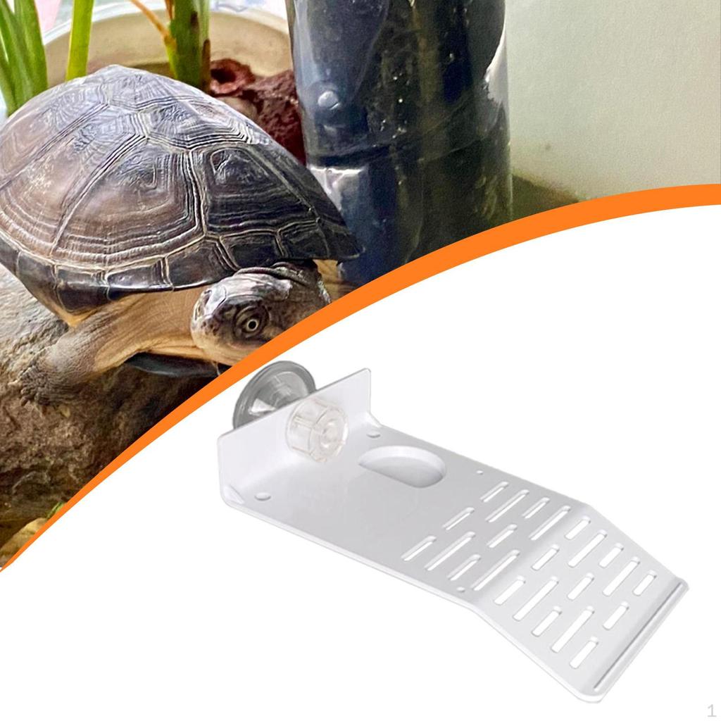 Turtle Basking Reptile Area White Float Decor Sunning for Pet Tank Amphibians Bearded