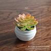 Artificial Succulent Mini Lotus Plant Decor Set Plastic DIY Terrarium Ornament Home Office Desk