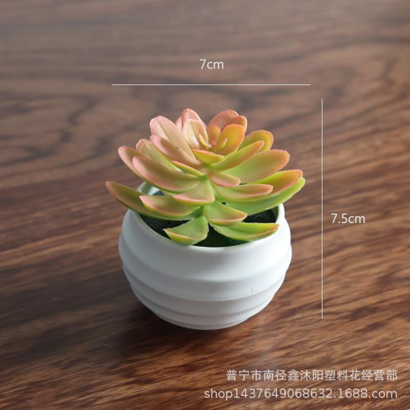 Artificial Succulent Mini Lotus Plant Decor Set Plastic DIY Terrarium Ornament Home Office Desk
