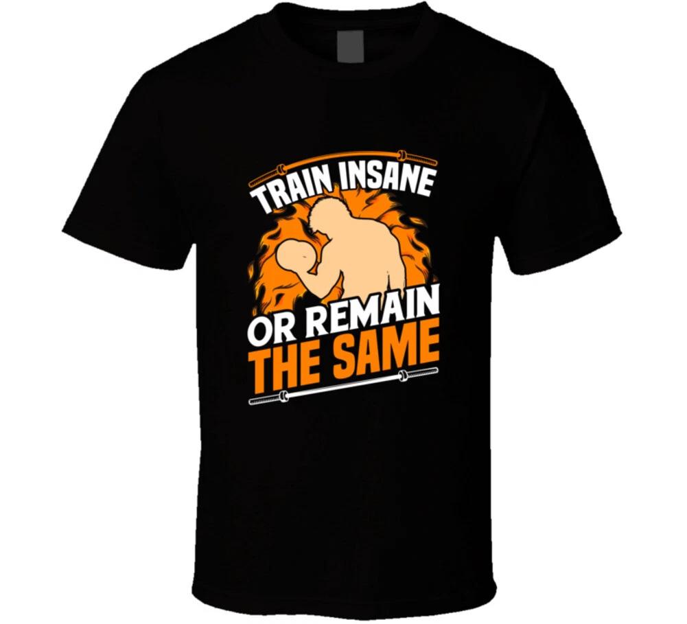 Train Insane Or Remain The Same Bodybuilding Gym Gift T Shirt 3XL