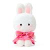 Sanrio Plush Toy (Character Award 2nd Logo Ribbon) Cheerly Cham Ages 3 and Up 748927