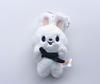 Stray Kids Children'S Plush Keychain Magnetic Suction Face Holding Pilot Doll Shawl Scarf Pendant Children'S Toy Gift