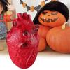 Scary Simulated Heart for Halloween Party and Horror Props Realistic Body Decoration Frightening Body Part Ornament