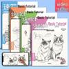 Sketching Basics: Beginner's Guide with Video Tutorials On Plants, Animals, Landscapes, and Figures (4 Volumes)