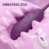 Remote Control Egg Vibrator for Women Clit Clitoris Stimulate G-Spot Vibrating Female Wearable Panties Masturbator Adult Sex Toy