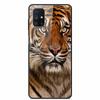 Glas-Rückseite für Samsung Galaxy M51 M31 Hülle Harte gehärtete Glas Hülle für Samsung A71 A51 Hülle A 51 71 M 51 31 Funda Coque