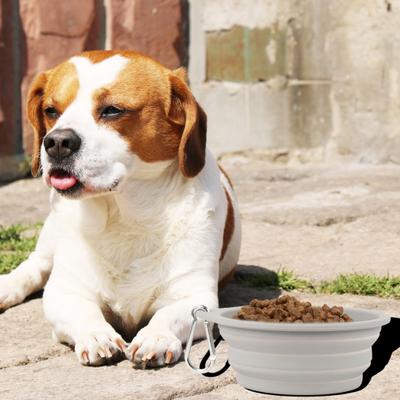 600 ML hayvan mama kabı Uygun Katlanabilir Silikon Köpek Kaseleri Taşınabilir Kolay Temizlenebilir Kedi Köpek Mama Kasesi Evcil Hayvan Kaynağı