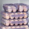 Clear Eggs Holder For Kitchen Storage Clear Plastic Container Organizers With Easy Cleaning Design Kitchen Eggs Tray