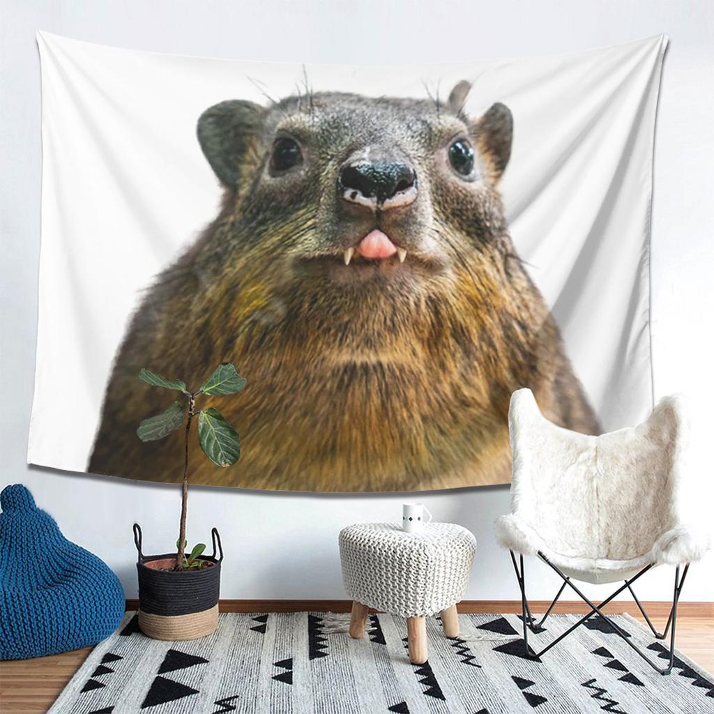 Klippschliefer Foto Niedliche Vampir Kartoffel Wandteppich Ästhetische Heimdekoration Wandteppiche für Wohnzimmer Schlafzimmer