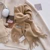 Luxury Cashmere Wool Scarf For Women  Winter Warm Pashmina Thicken Soft Shawl Wrap Stole Daily Use Fashion Elegant Wool Scarf