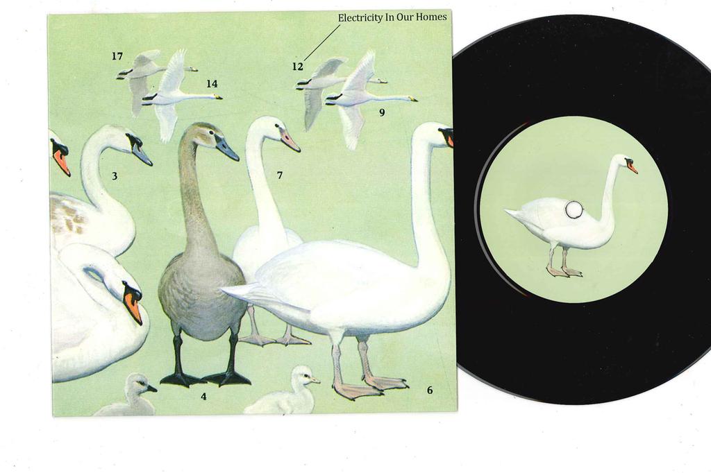 7inch Record ELECTRICITY IN OUR HOMES - We Thought It Was But It Wasn't / A PURE218S TOO PURE 2008 UK Rock Used