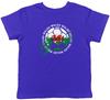 Personalisiertes Wales Fußball Sport Kinder T-Shirt Jungen Mädchen Geschenk
