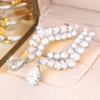 Luxurious Silver Color Teardrop Zircon Dangle Earrings for Women Daily Wear and Party