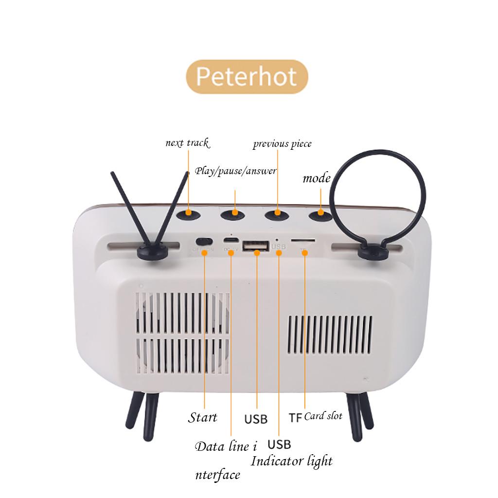 Buy Wireless Bluetooth Speaker With 