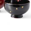 J-kitchens Set of 2 Lacquerware Bowls, Hand-Painted, Dishwasher Safe, PID-529296, Made In Japan