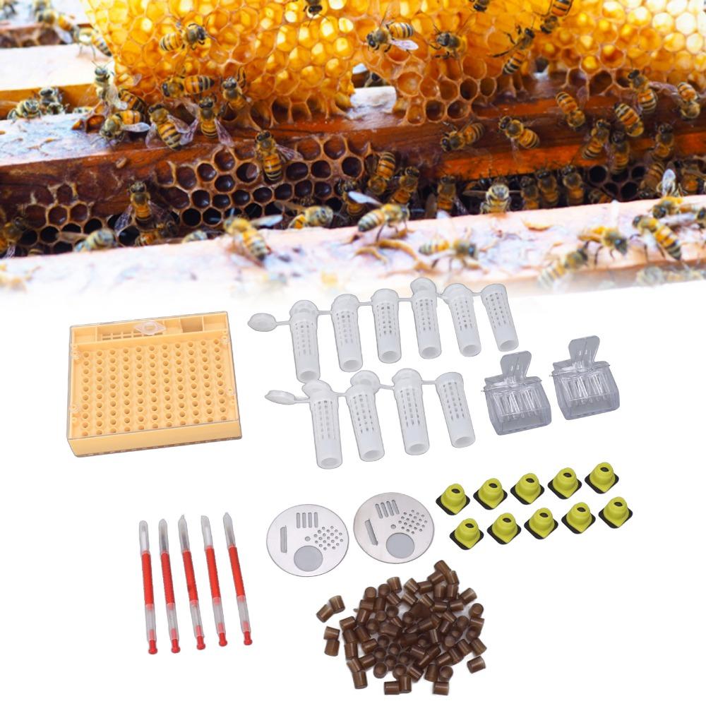 130 Pcs Set Durable Queen Bee Rearing Grafting Kit Plastic Beekeeping Queen Rearing Box  Beekeepers
