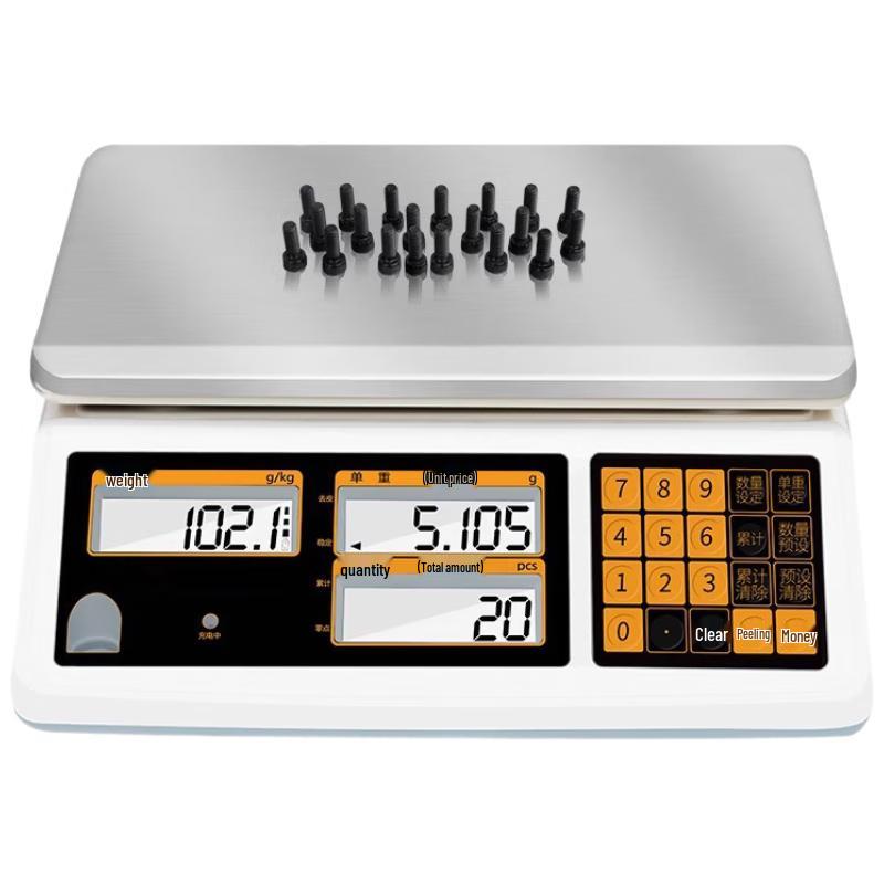 SAYZES Digital Precision Scale