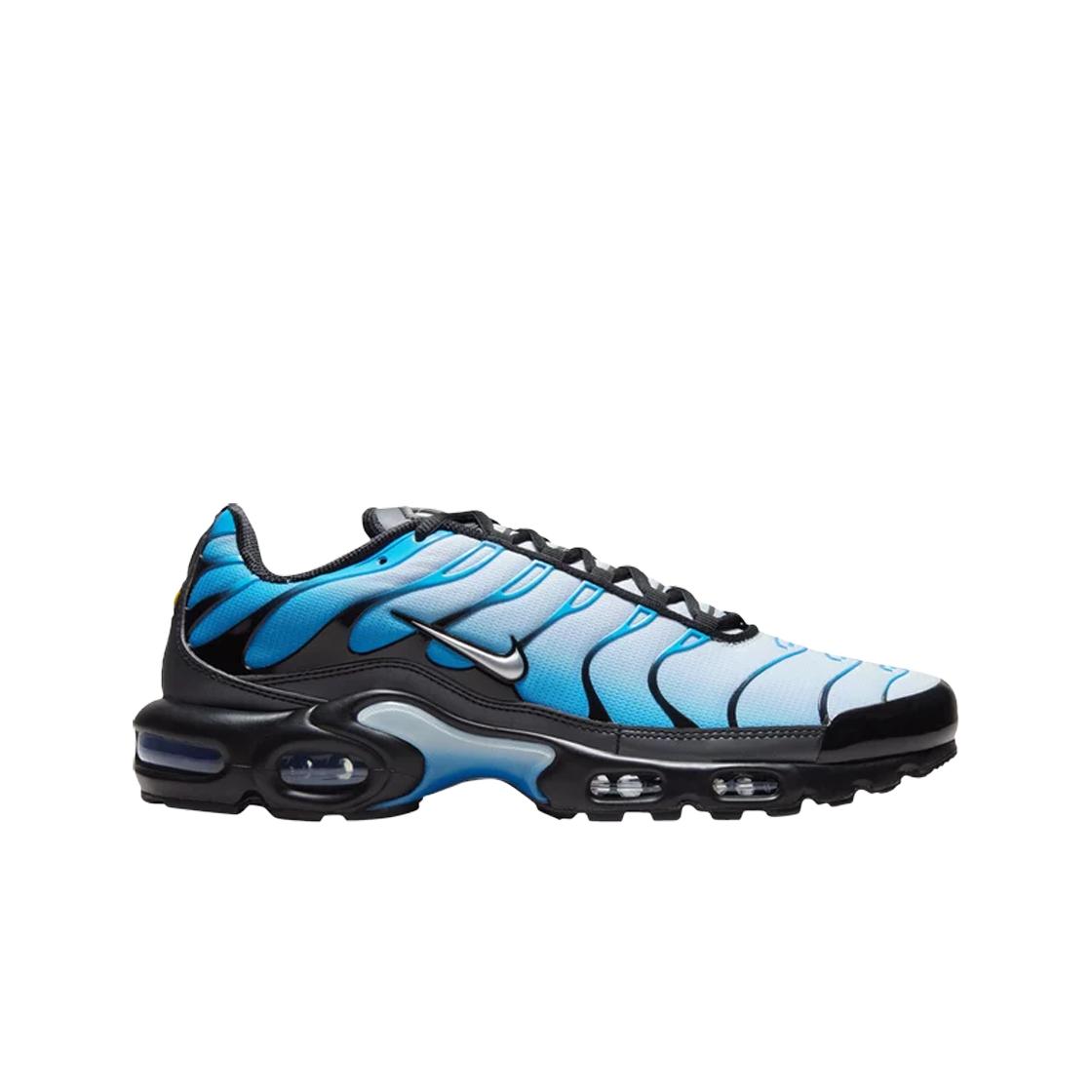

Мужские кроссовки Nike Air Max Plus Blue Gradient FQ0204-010
