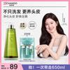 Scalp Care Anti-Dandruff Shampoo