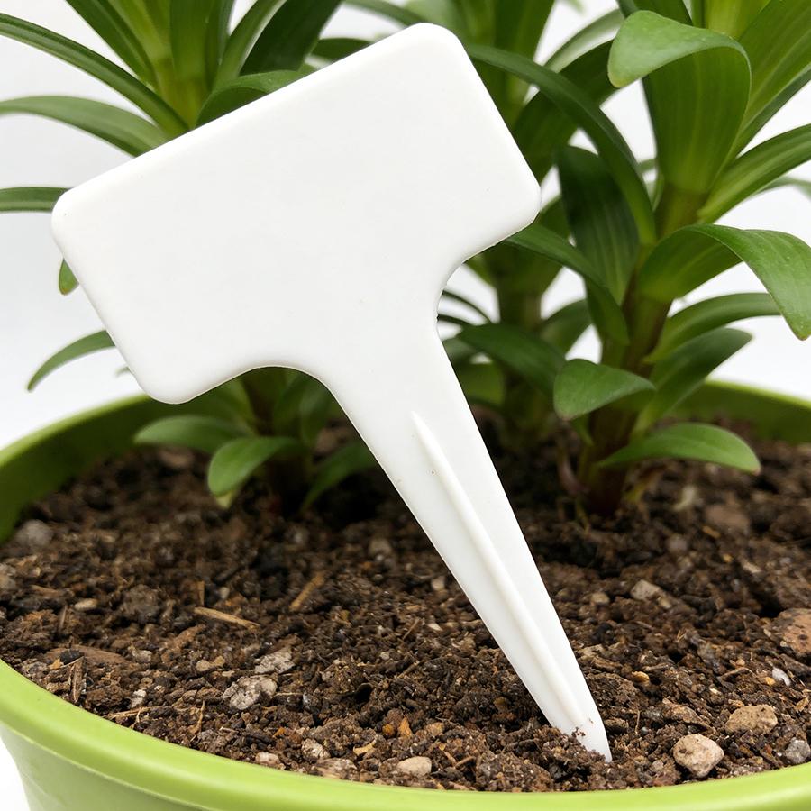 20pcs 10cm White Potted Flower Pot Label T-shaped Plant Label Plant Identification Memo Label Horticultural Planting Accessories