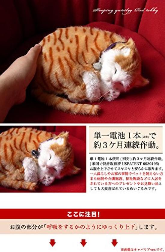 Nini and Kino Perfect Pet (Small Size) Brown Tabby Cat Plush Toy Cat Cat Realistic Looks Like Miscellaneous Goods Animal Healing Moving Present Gift