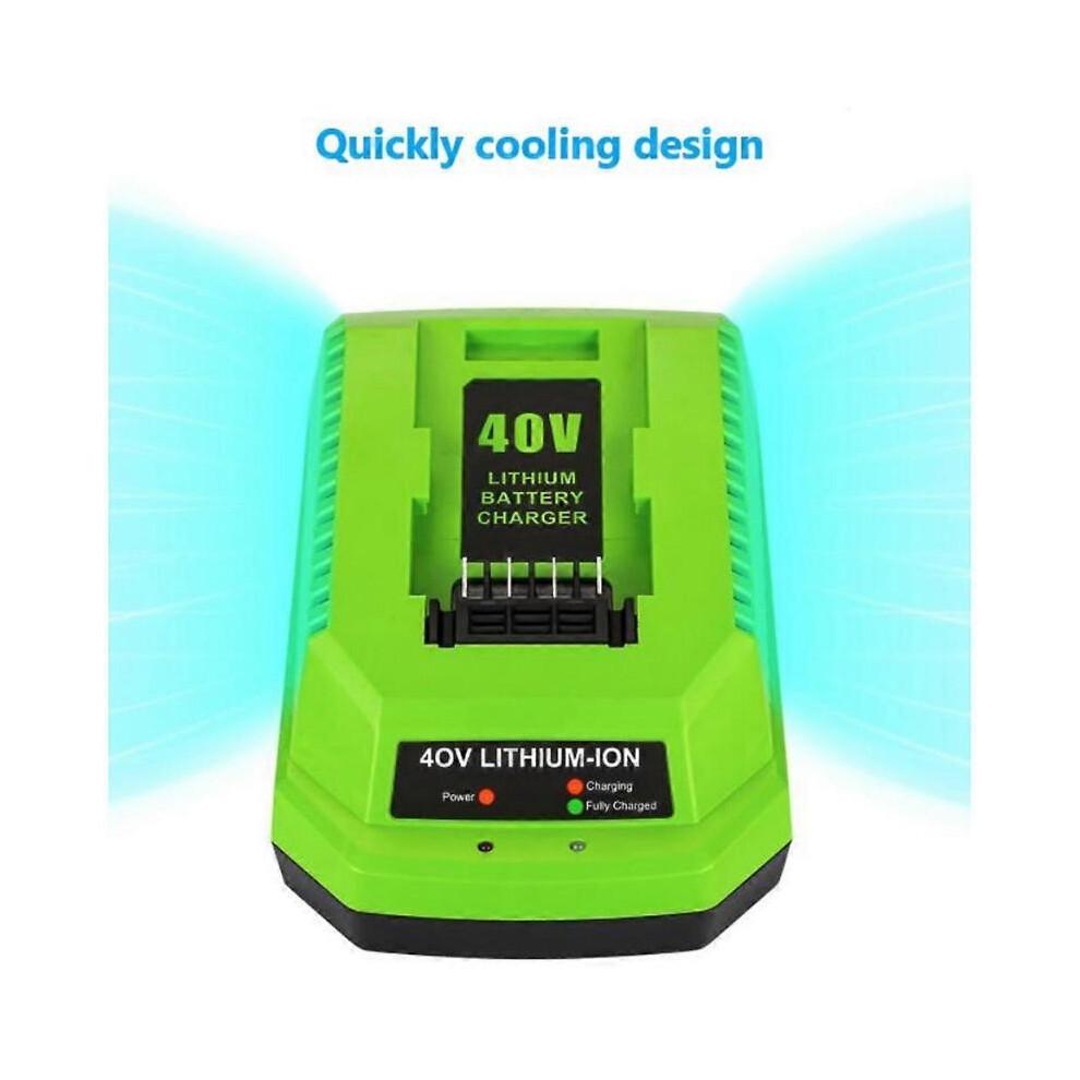 Caricabatterie al Litio 40V per GreenWorks 29482 G-MAX 40V - Batteria 29472 29482 29652 G40825 EU Pl