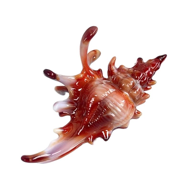 Vibrant Conch Charm Hair Claw Hairpin For Women Summer Vacation Headdress Securely Hold Beach Styling Tool