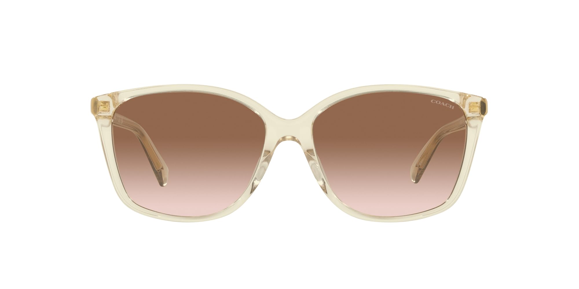 

Сонцезахисні окуляри HC8361U CH558 ПРОЗОРО-БЕЖЕВИЙ ГРАДІЄНТ Лінза 57 [Coach] Оправа/КОРИЧНЕВИЙ