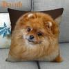Nice Pomeranian Dog Pillowcase Bedroom Home Decorative Cover 45x45cm Square Zipper Pillow Cases Cotton Linen Fabric No Fade