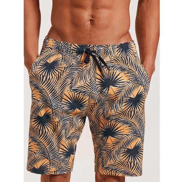 Шорты Calida 27869 EU XXL