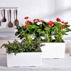 Plant Flower Pot with Water Level Indicator Garden Balcony Bonsai Planting Pot Flower Decorations Rectangular Desktop Planter
