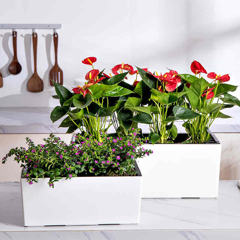 Plant Flower Pot with Water Level Indicator Garden Balcony Bonsai Planting Pot Flower Decorations Rectangular Desktop Planter