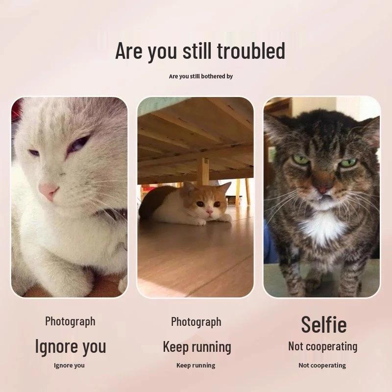 Cat & Dog Selfie Stick Toy: Pet Photo Attracting Mirror with Newcomer Discount