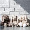 Pet Companion Toys bunny stuffed animal,easter basket essentials,dog toys, throw pillows for couch,home decor, birthday gifts