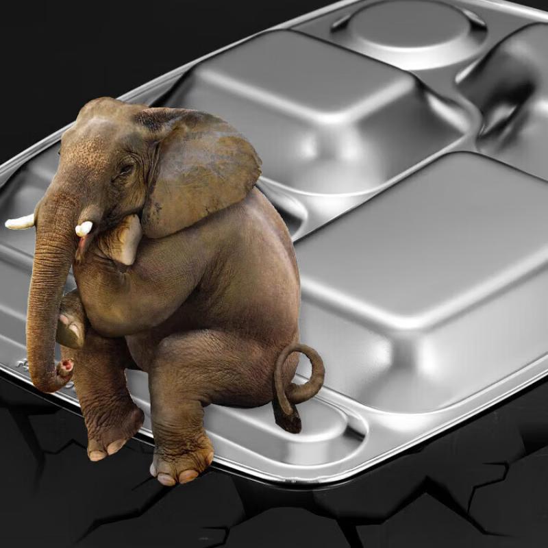 ZISIZ 201 Stainless Steel Divided Dinner Plate