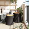 VidaXL Tables d'Appoint de Jardin Dessus en Bois 2 pcs, Tables Basses, Meubles de Terrasse Patio Extérieur, Moderne, Noir 366288
