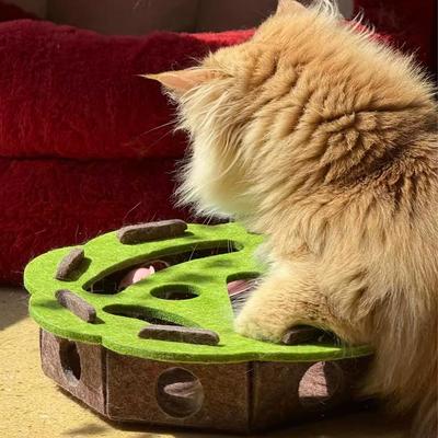 Kočičí puzzle hračka Plstěná puzzle krabice Hračka pro kočičí cvičení s míčkem Vnitřní sportovní zábava Lovecké kočičí hračky pro kočky chované v bytě