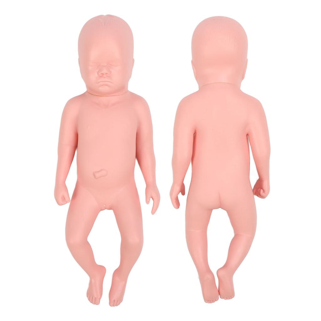 Newborn Model Plastic Educational High Simulation Full Term Baby Simulator Model For Teaching