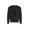 Polo Solid Logo Embroidered Crew Neck Sweatshirt Men Sweatshirt Black 710766862-001