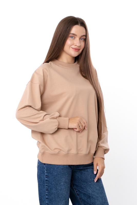 

Толстовка (жінки) – Класичний крій, Довгий рукав і Круглий виріз, Будь-який сезон, 8385-057 HC M коричневий