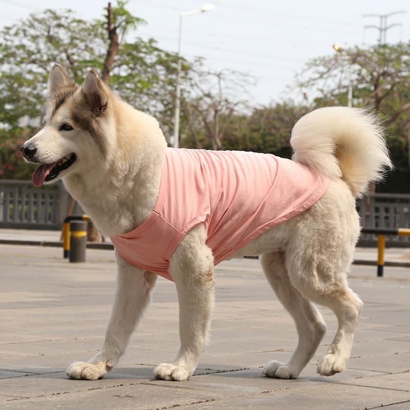Golden Retriever Samoyed Cat Clothes Vests Dog and Cat Clothes Pet Supplies Cotton