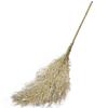 Homeglen Large Bamboo Broom 5-Pack